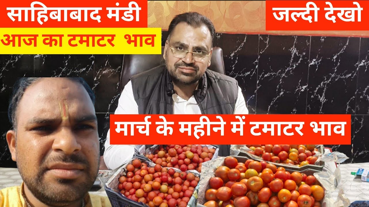 Why This Indian Mandi is Full of Tomatoes🍅आज का टमाटर  भाव