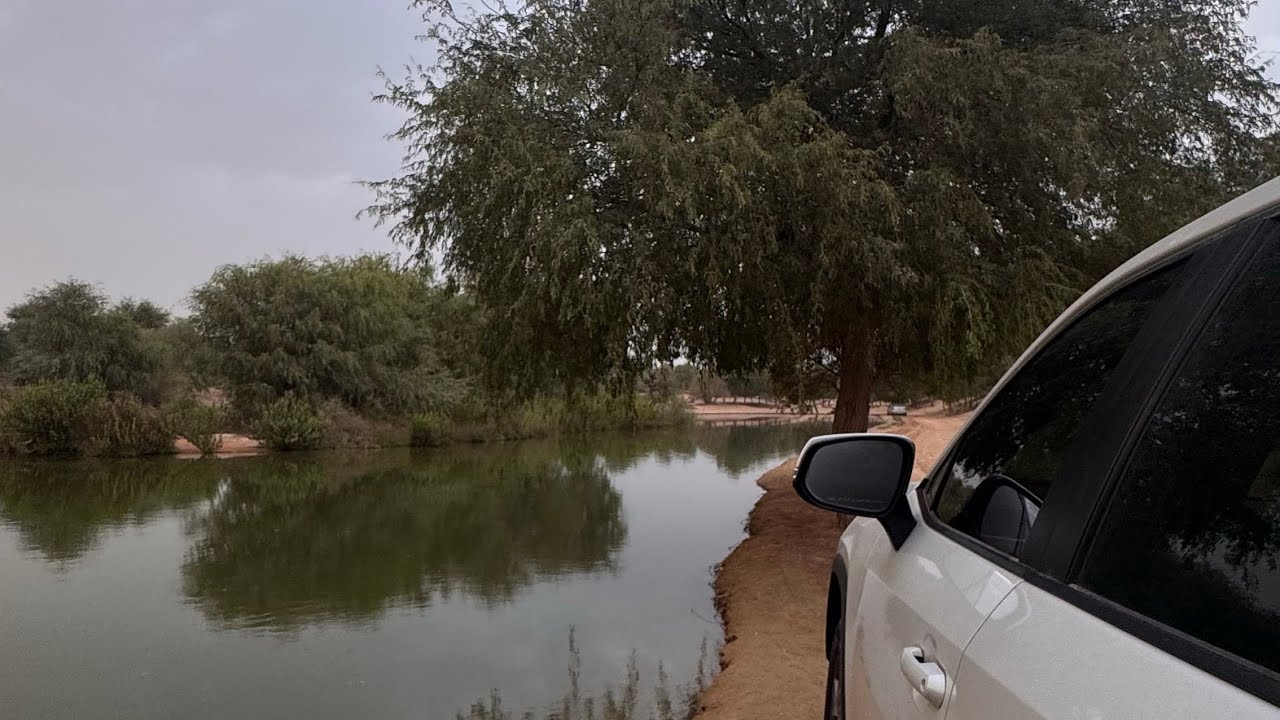 Weekend at al qudra lake | Camping Season in Dubai