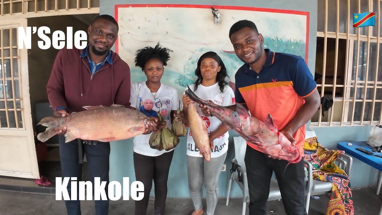 un Tour à KINKOLE PÊCHEURS où vous trouverez les meilleurs POISSONS et MABOKE à KINSHASA 🇨🇩