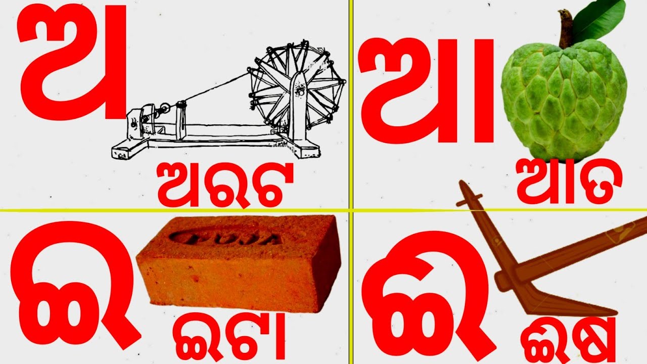 Odia BarnaMala ( ଓଡ଼ିଆ ବର୍ଣ୍ଣମାଳା ) | Odia Barnabodha | Odia Alphabets