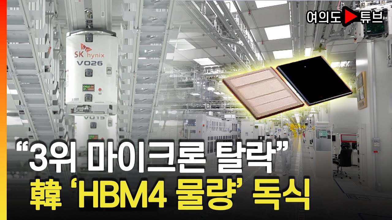 [여의도튜브] 엔비디아 AMD AI칩 시장 ‘韓 기업 평정’ / 머니투데이방송