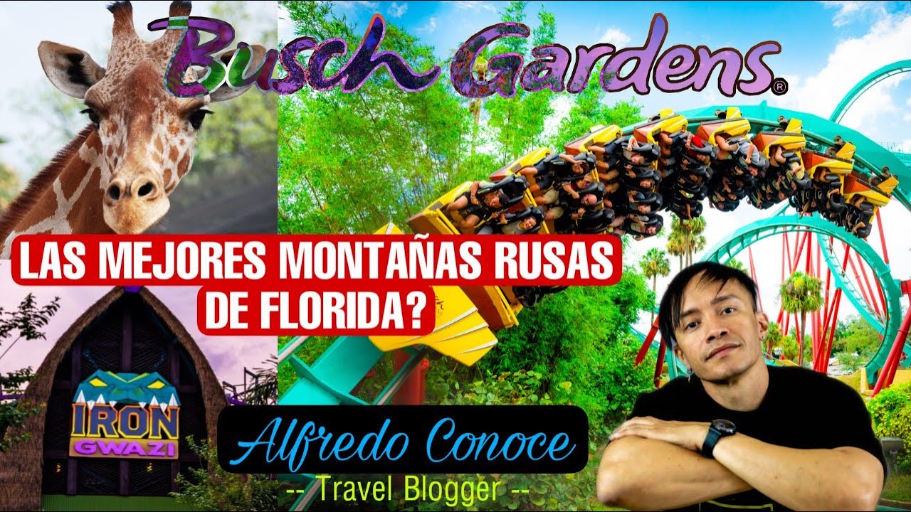 LAS MEJORES MONTAÑAS RUSAS DE FLORIDA? BUSCH GARDENS TAMPA