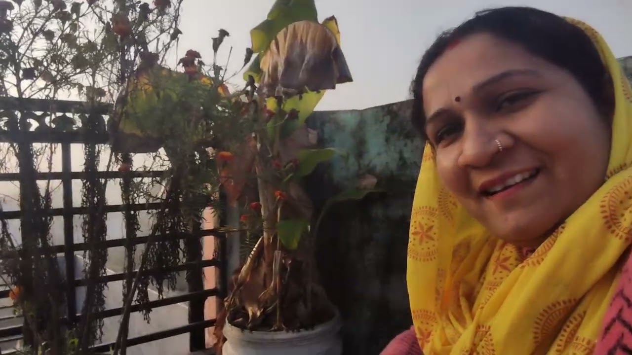 बृहस्पति केले की पूजा 🙏🙏🙏🌻🙏🥰