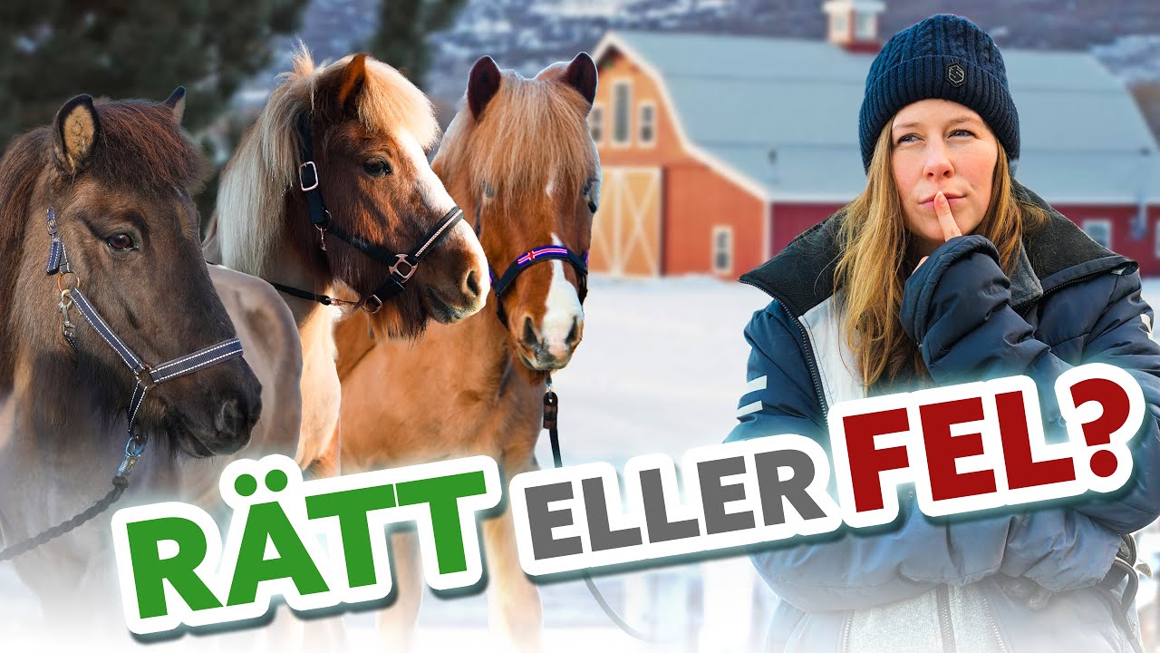GISSA H&Auml;ST & RYTTARE