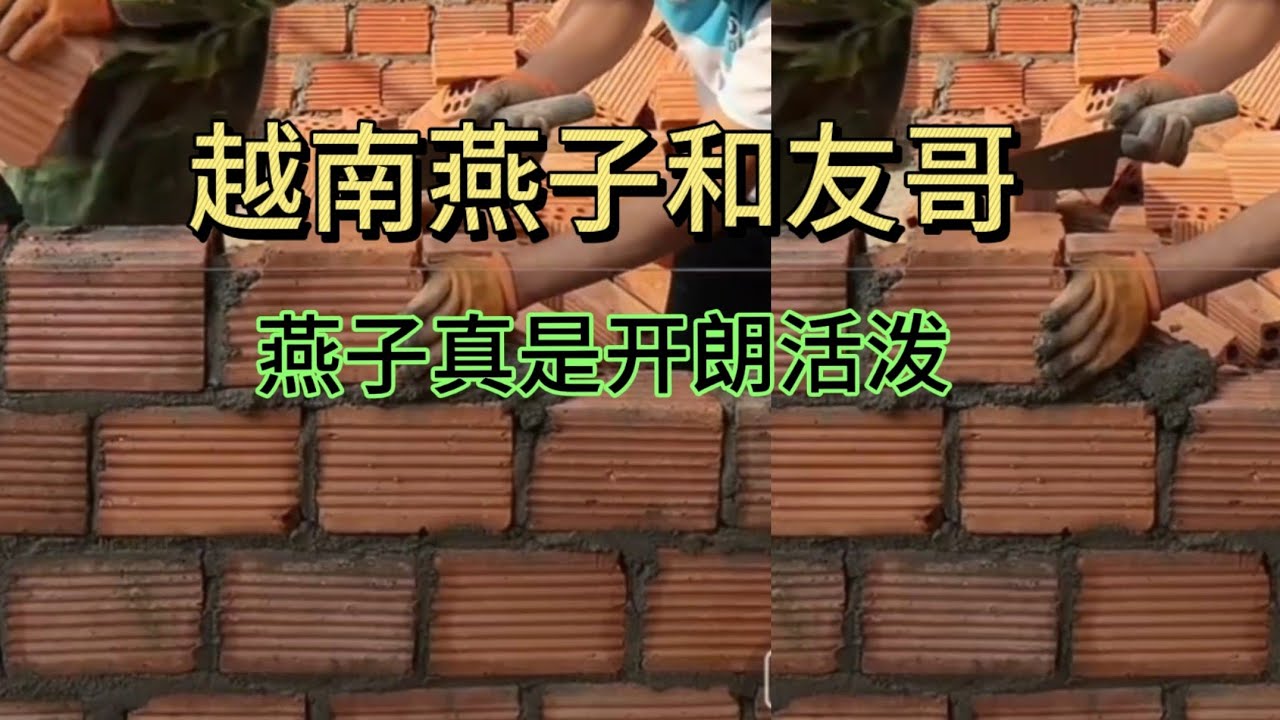 越南燕子和友哥