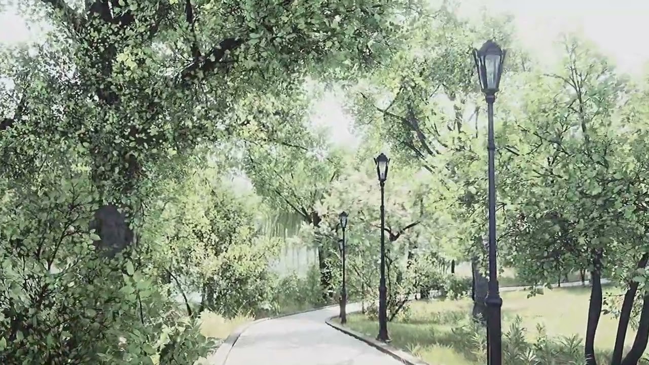 Mindful Walking  A Journey to Inner Peac