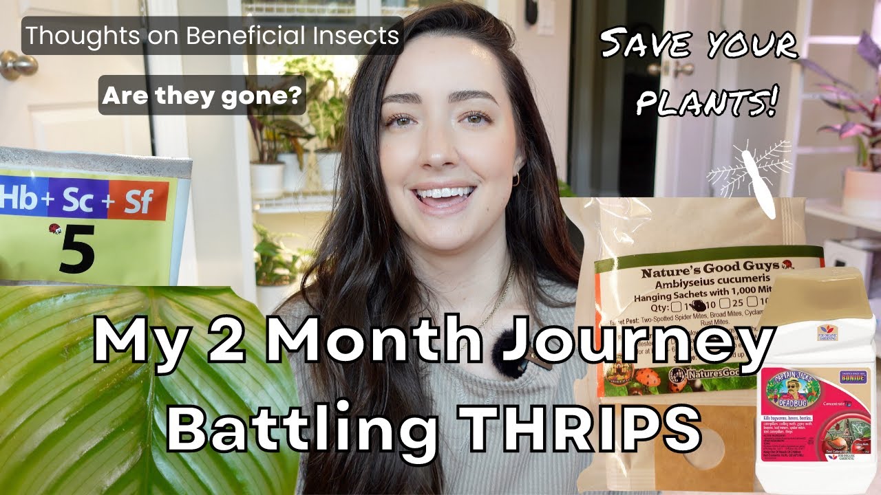 How to Get Rid of THRIPS! | My Entire 2 MONTH Thrips Journey! | Using Beneficial Insects! | Vlog