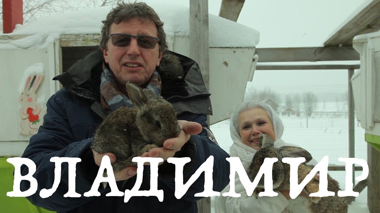 Золотое кольцо России/Владимир/щука-котлета/фермерский розмарин