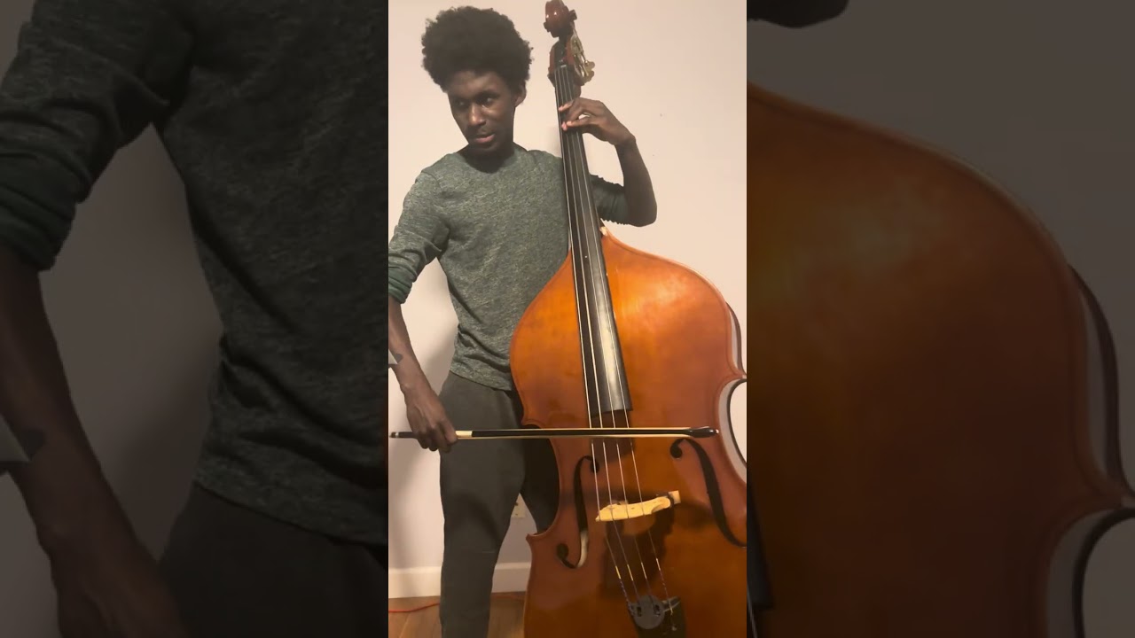 Dragonetti Bass Concerto Movement 1