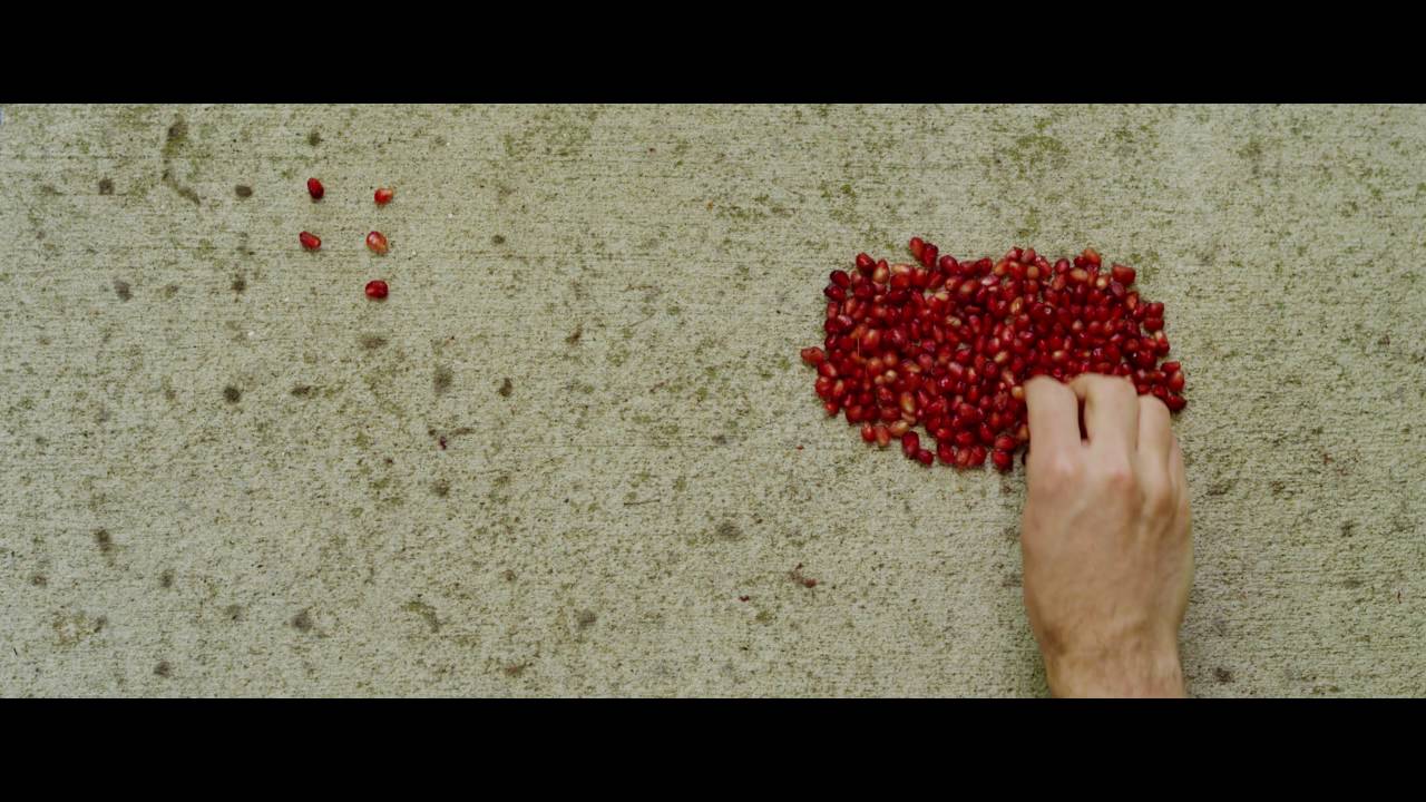 Quilt - Padova [Official Video]