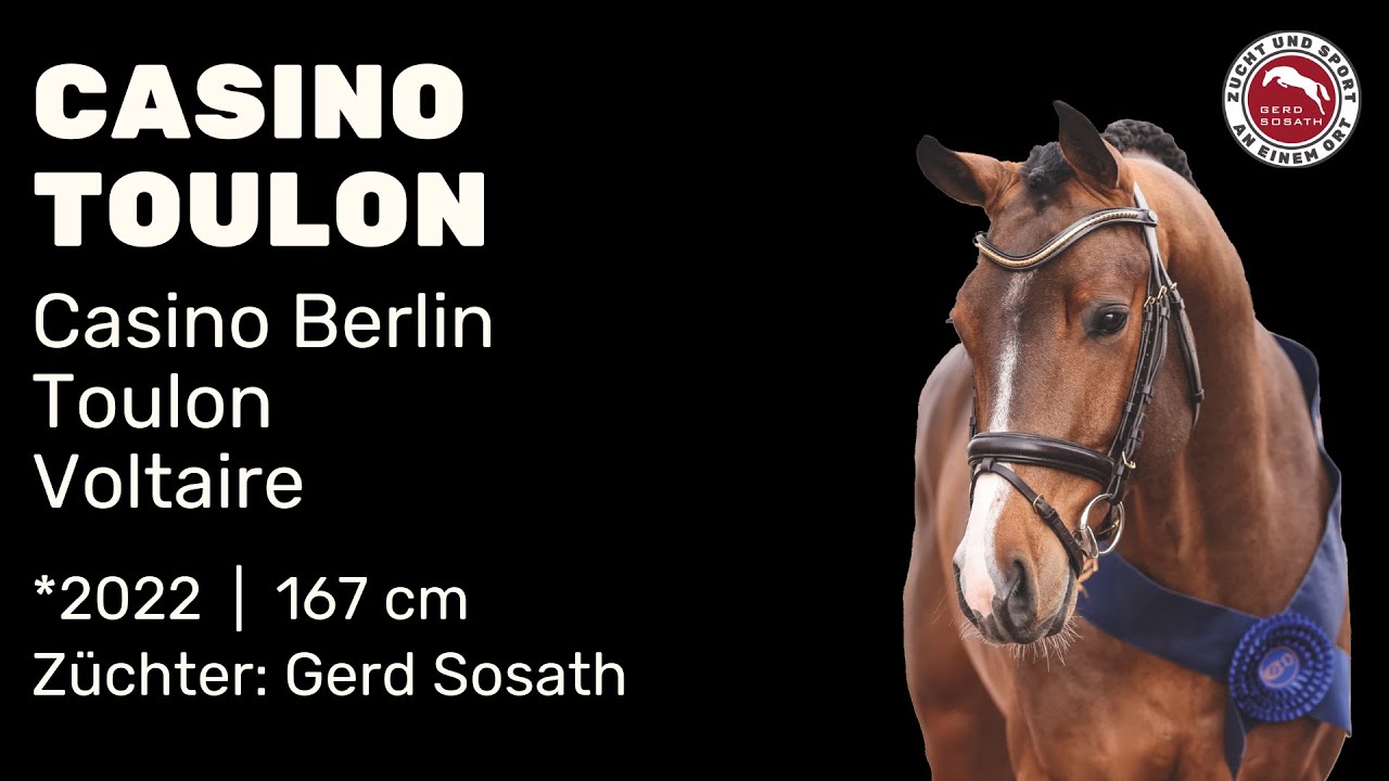 Casino Toulon *2022 von Casino Berlin x Toulon | Hengstschau Sosath 2025