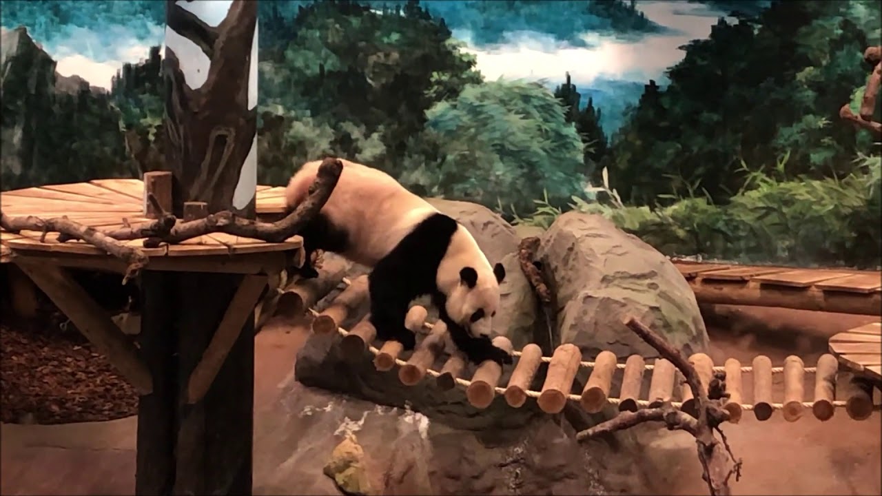 Ouwehands Dierenpark 2019