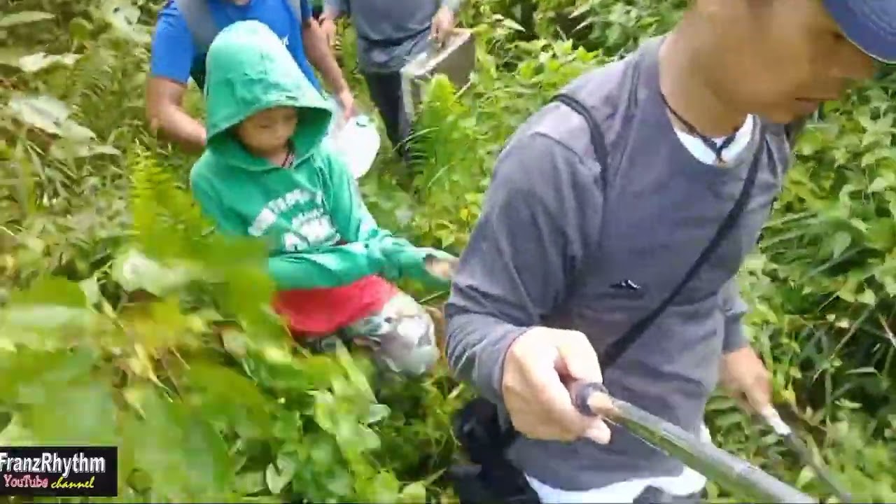 2 Years ago..Franz Rhythm family forest adventure