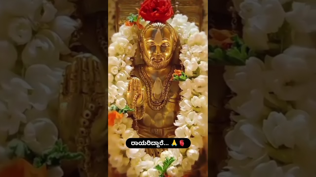 #rayariddare