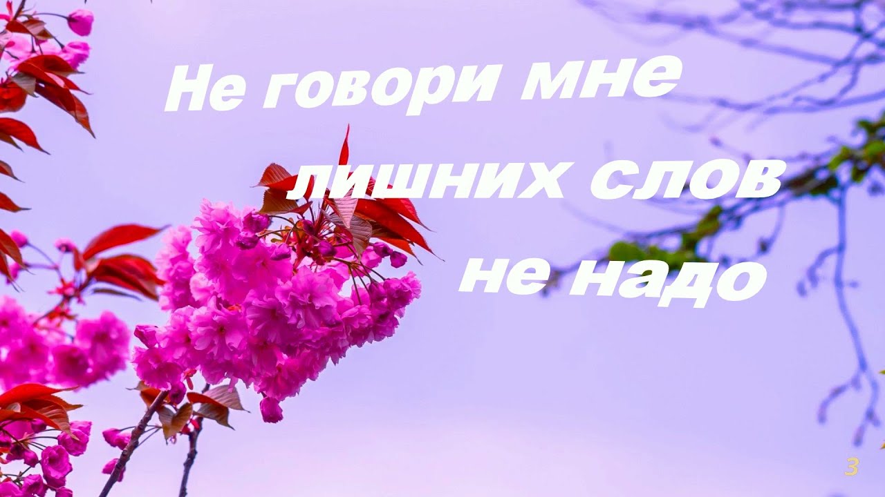 Не говори мне лишних слов не надо - лучшие песни / Best songs