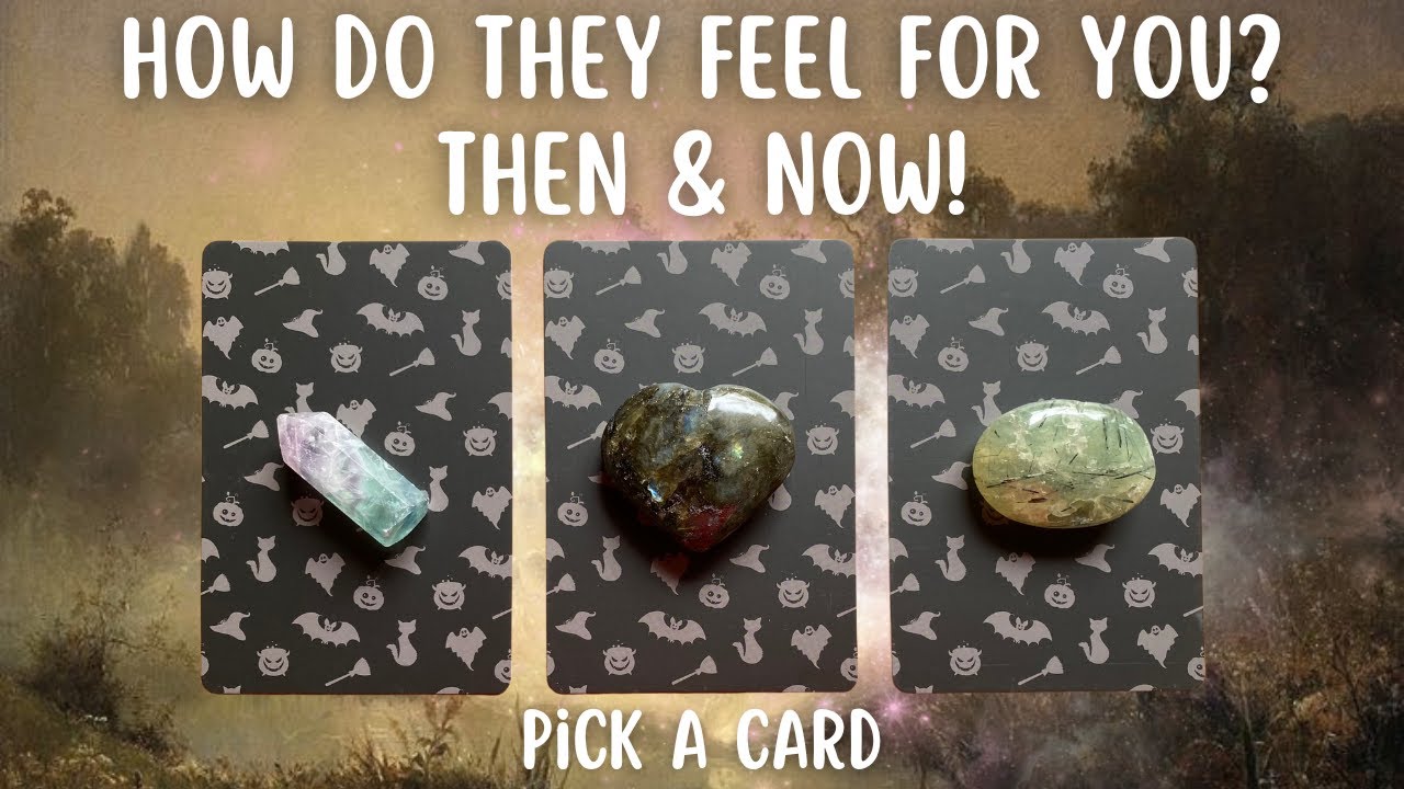 Pick A Card🌿Detailed👀How Do They Feel For You? Then & Now! love/crush/ex