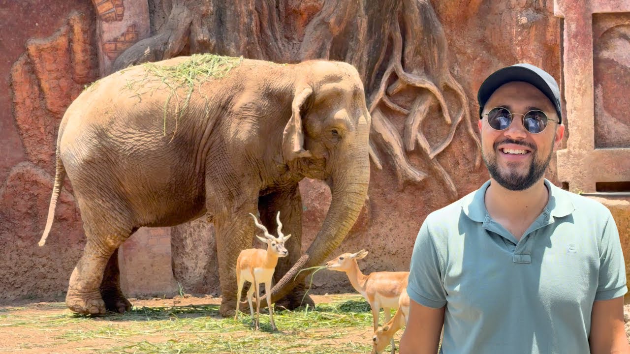 Así es el ZOOLÓGICO más grande de GUATEMALA