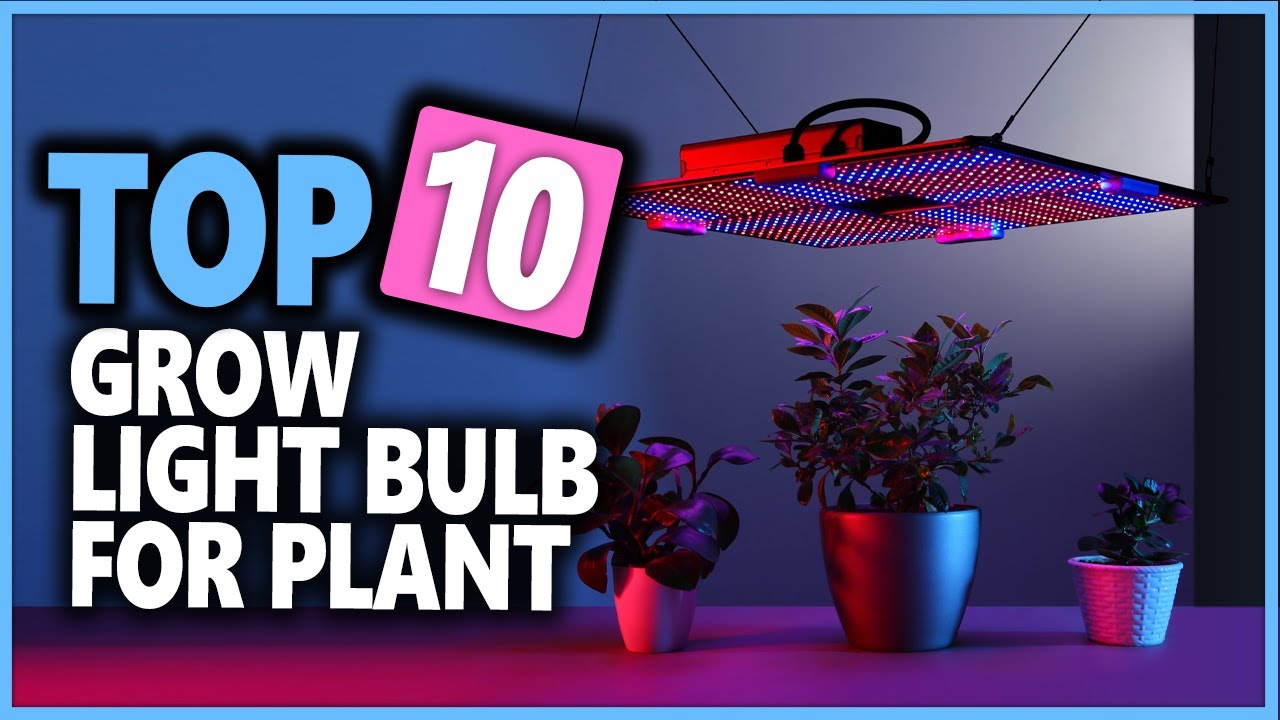 Best Grow Light Bulb For Plant in 2022 | Which Light Bulb Is Best For Growing Plants
