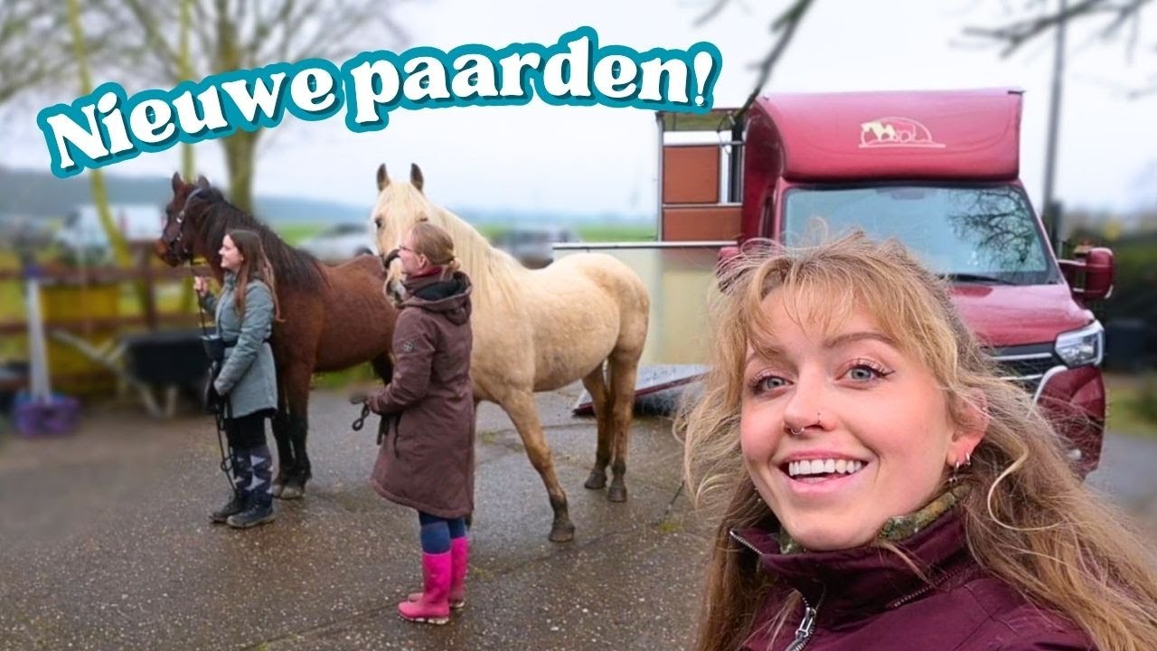 Deze fout ga ik NOOIT meer maken met nieuwe stalgenoten! ❌