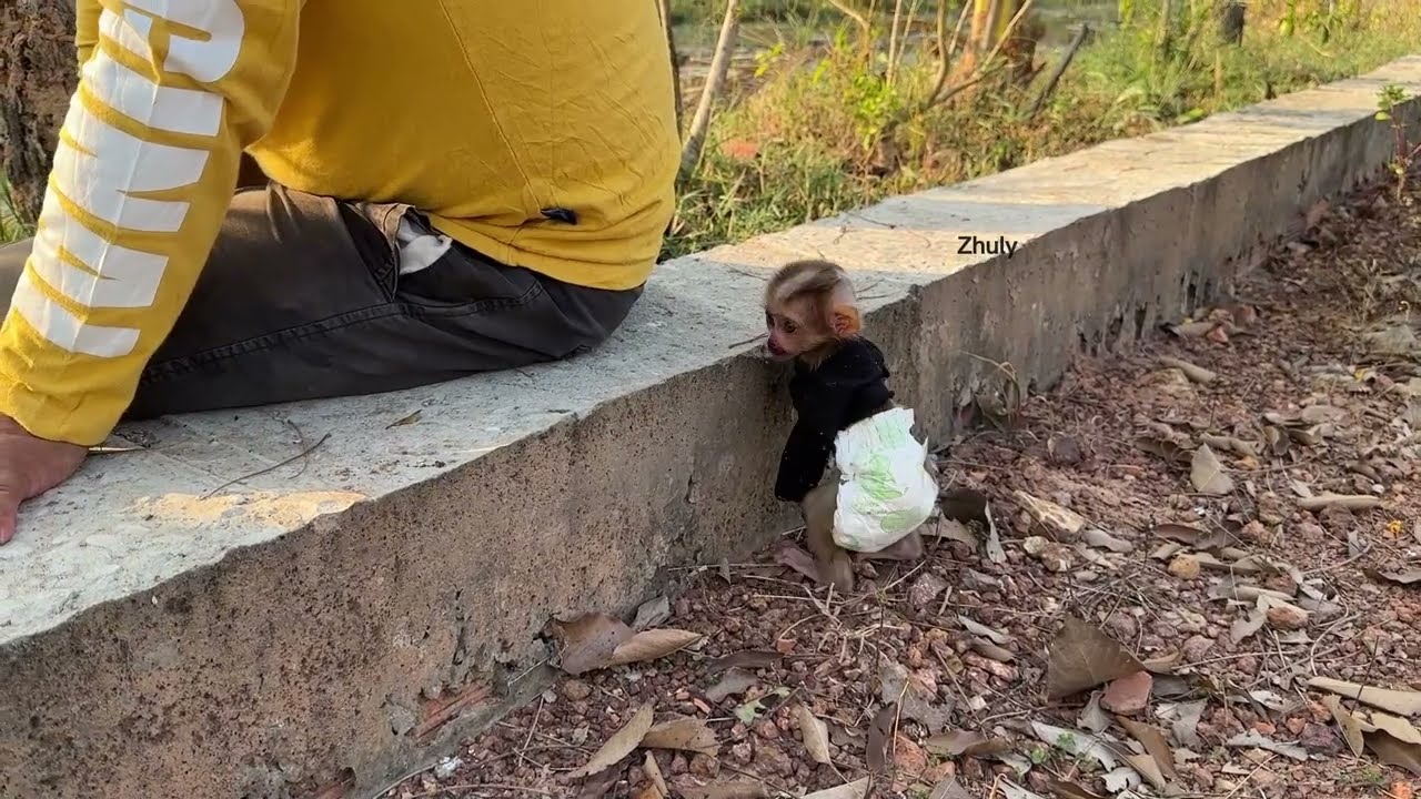 Zhuly & Dad Workinq At The Garden