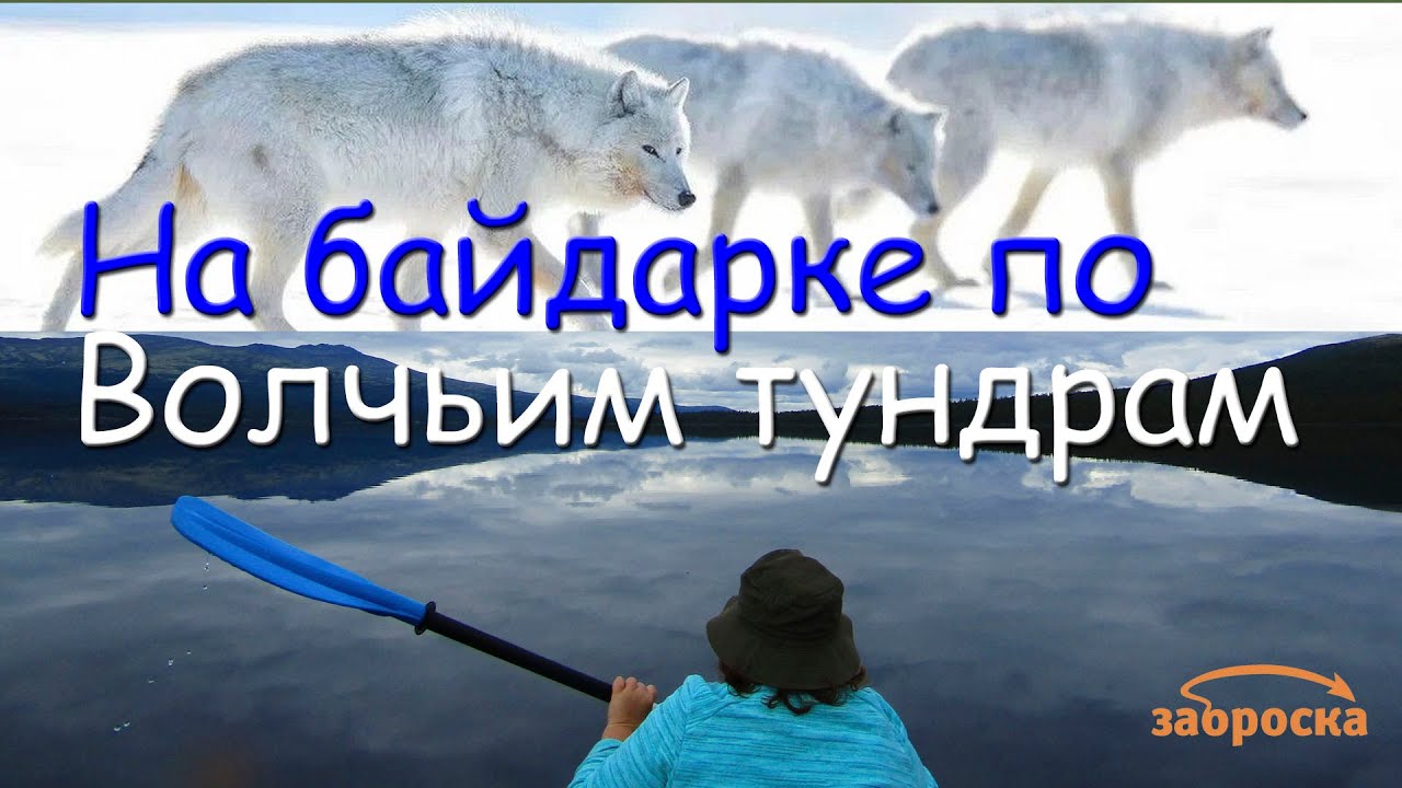 /ЗА/На байдарке по волчьим тундрам