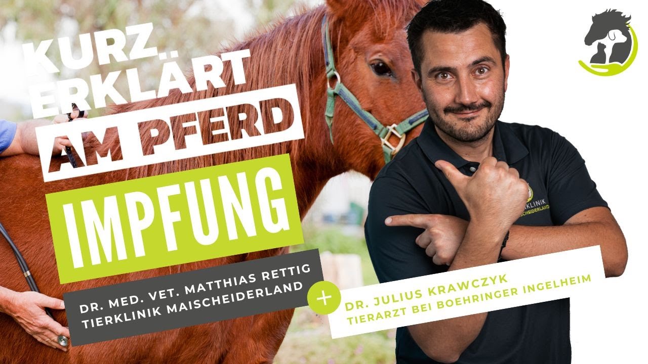 IMPFUNG - Gängige Impfungen, Herdenimmunität und Impfhäufigkeit. Kurz erklärt am Pferd!