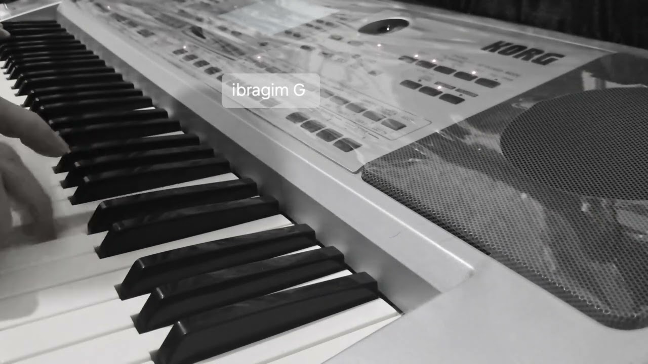 KORG PA 50 SD