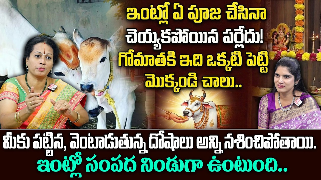 Gomatha Pooja | గోమాత విశిష్టత I Gomata vishishtatha | Padmaja Ramanujadasi | Deepthi | SumanTV