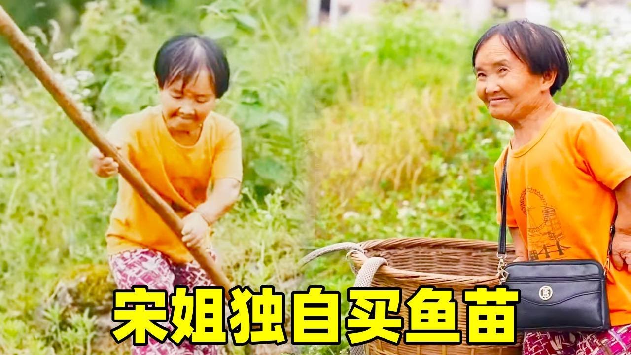 宋姐拖着小小的身体背着重重的鱼儿，全都放在稻田里准备养着！还好有好心路人帮助宋姐【农家宋姐 】