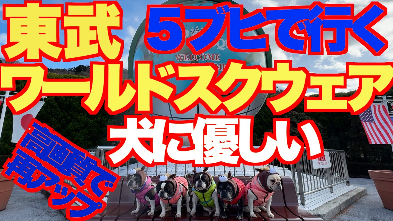 ◆再アップ◆ 東武ワールドスクウェア 【 フレンチブルドッグ french_bulldog 】 高画質でご覧ください。