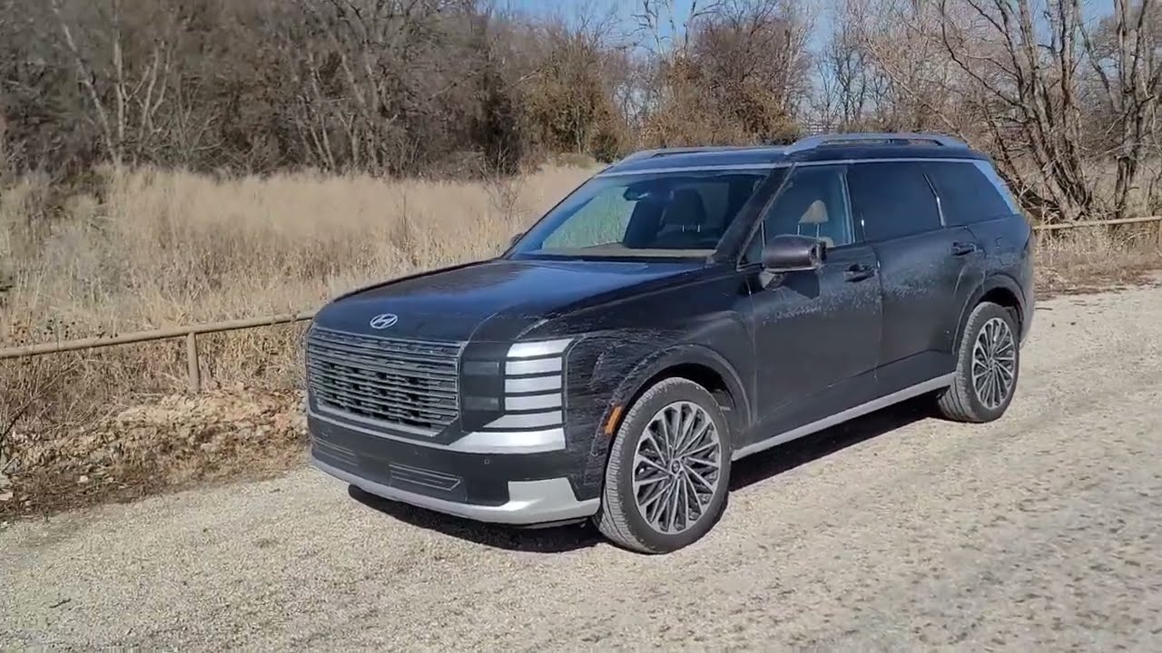 Hyundai Palisade Calligraphy
