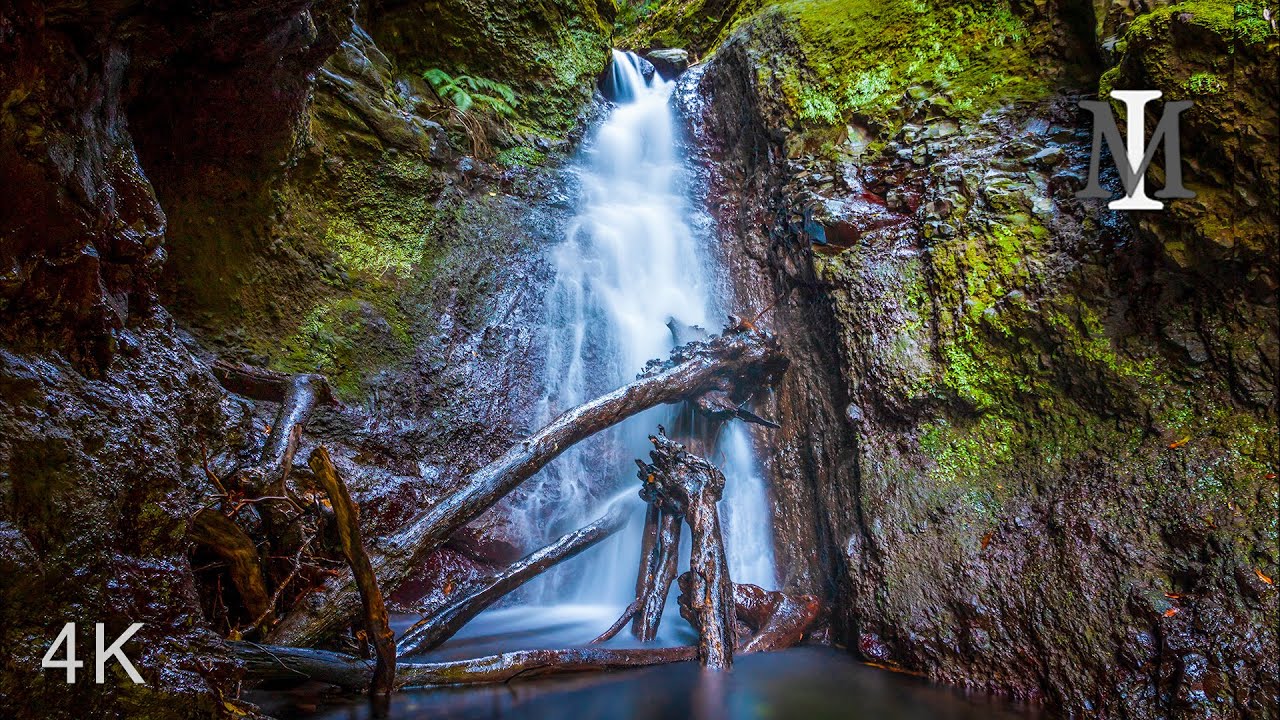 Madeira 4k -Levada Walk of Fajã do Rodrigues with awesome views and waterfalls - PR16