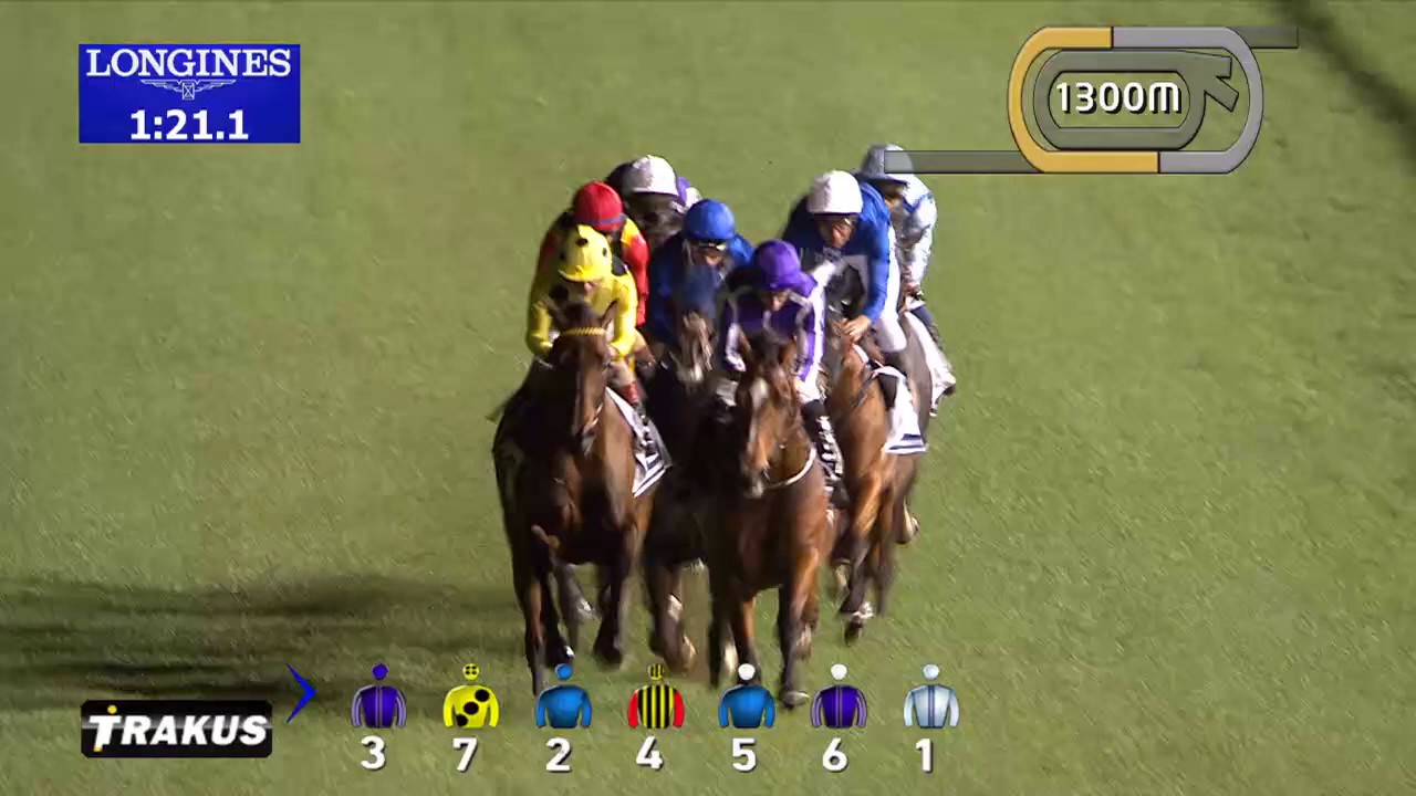 Longines Dubai Sheema Classic