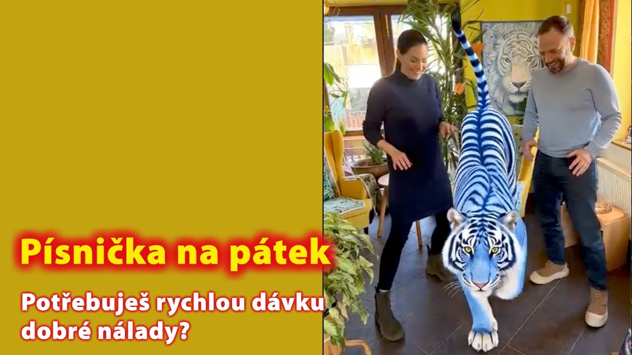 Zdenka Blechová: Písnička na pátek