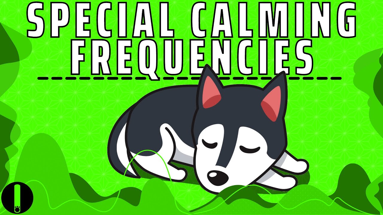 Dog Calming Frequency