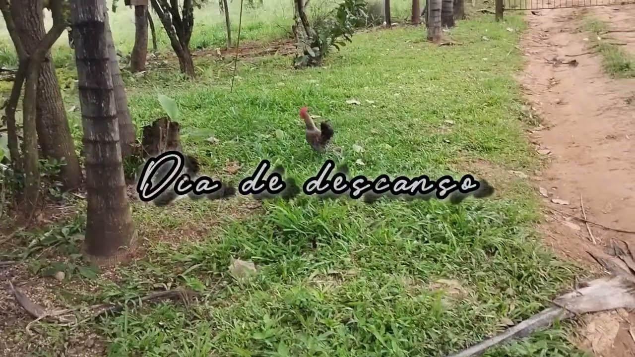 FINAL DE SEMANA COM A FAMILIA /PAZ NA ROÇA /COMEMORAÇÃO DO ANIVERSÁRIO DOS CUNHADOS 