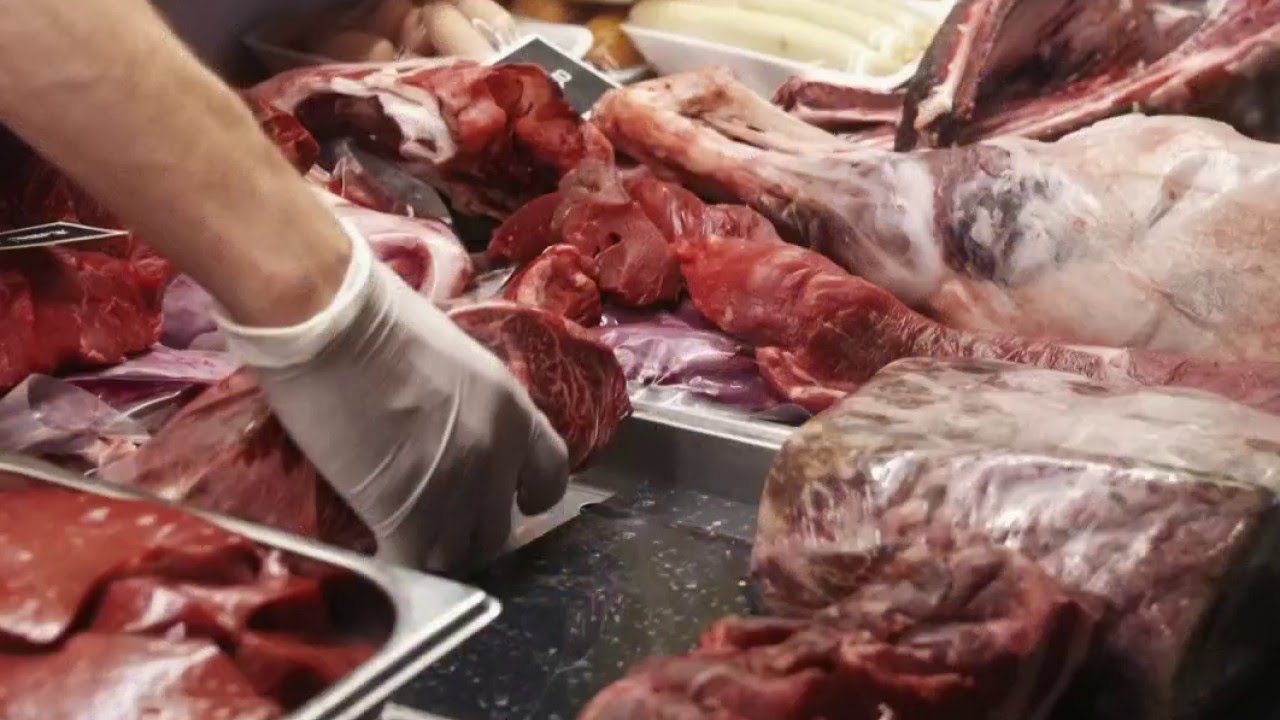 Sciences - La viande cultivée