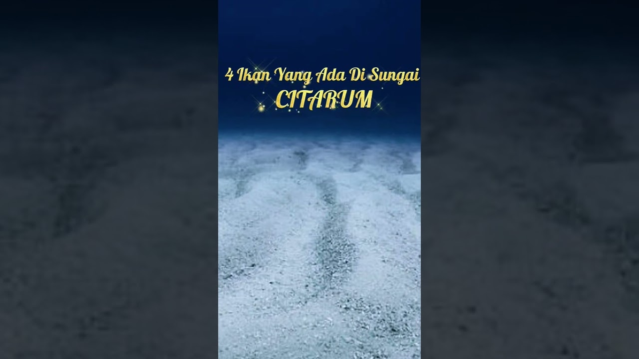 4 Ikan Yang ada Di Sungai Citarum#short #shorts #shortvideo #citarum