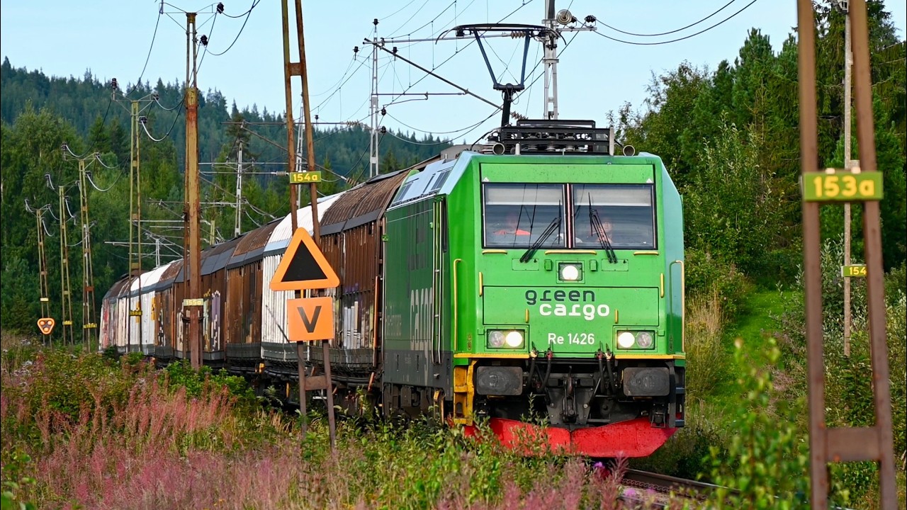 Svenska tåg del 103 - Ånge