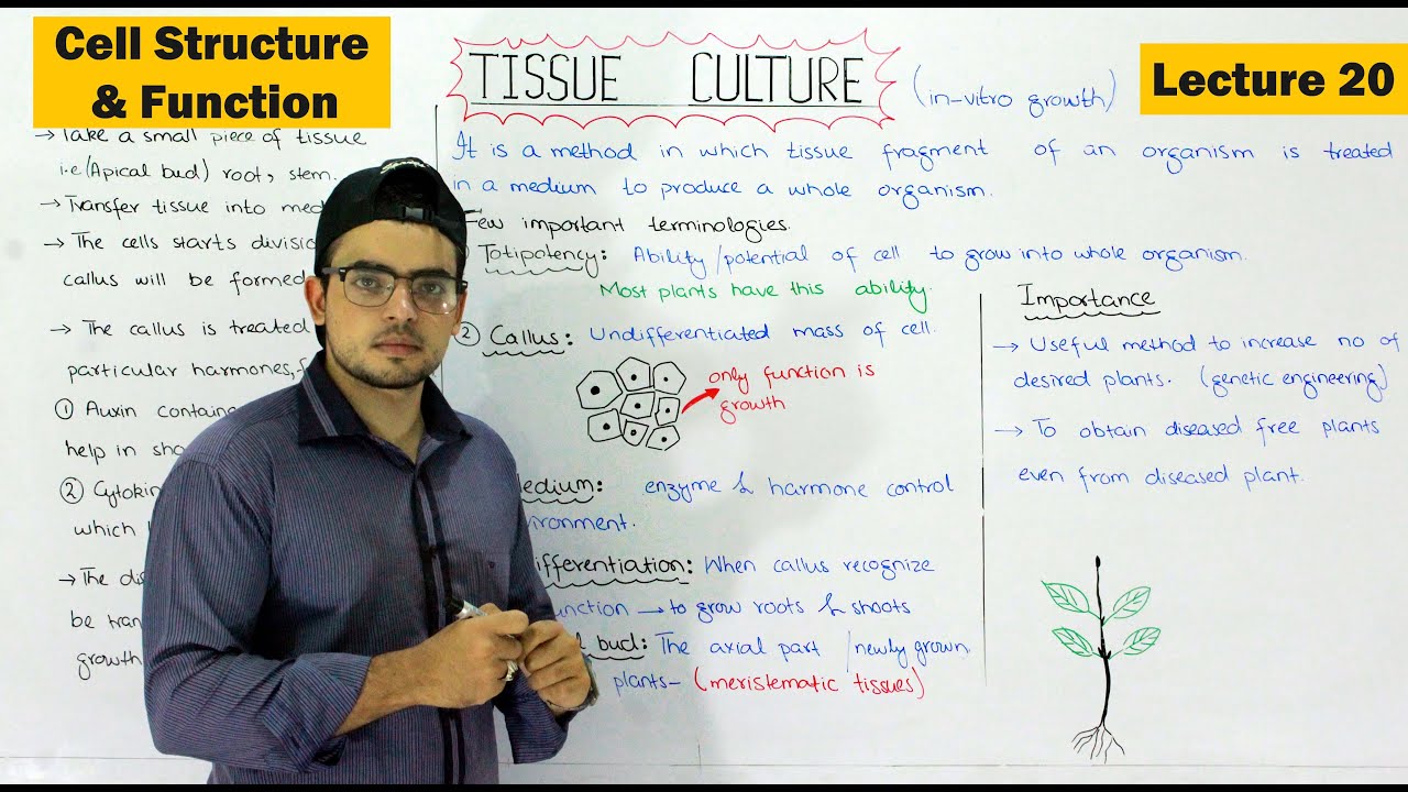 Tissue culture (in vitro Growth) | Basic technique of Biology | Video 20