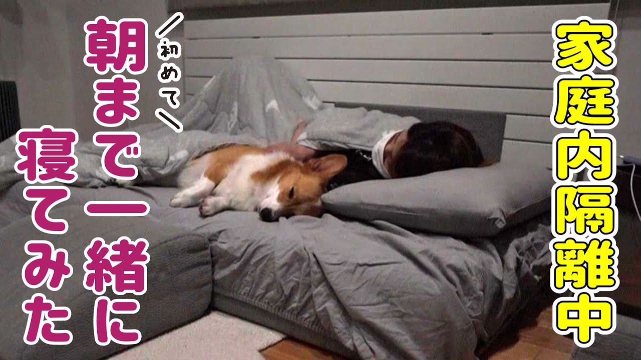 愛犬と初めて一緒に寝てみたら...