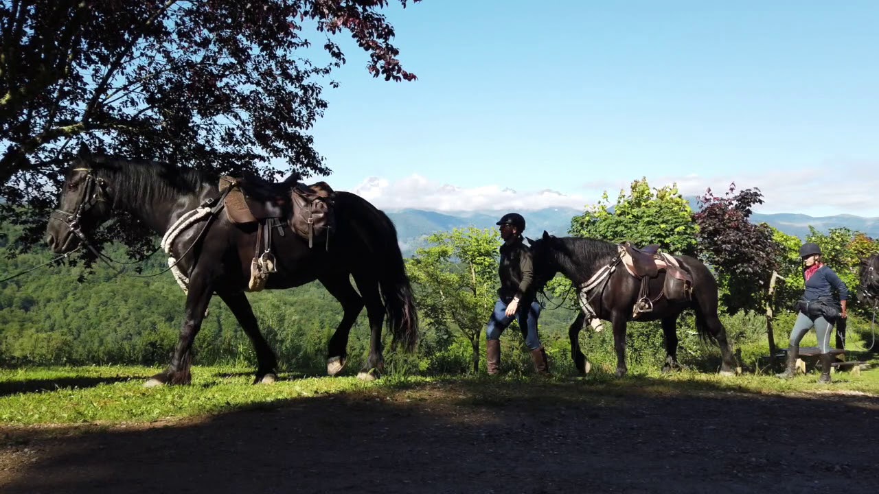 Quelques images de nos Randonn&eacute;es &agrave; cheval 2019