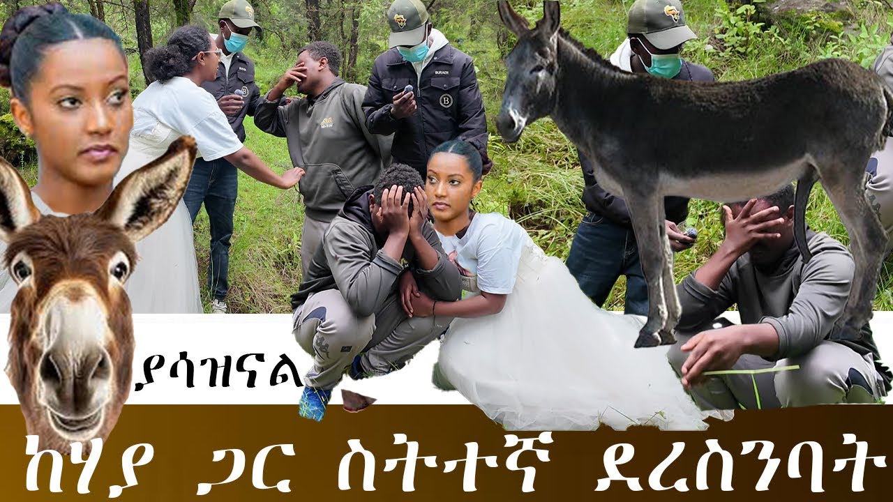 የሰርጓ ቀን ከእንስሳ ጋር እንደተጋባች ተደረሰባት