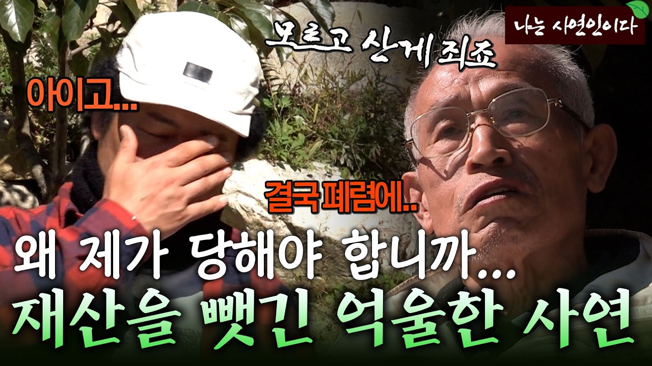 &ldquo;왜 제 것까지 뺏어갑니까&hellip;&rdquo; 남의 빚 때문에 모든 걸 쏟은 가게를 경매로 빼앗긴 사연 | 나는 사연인이다 527회