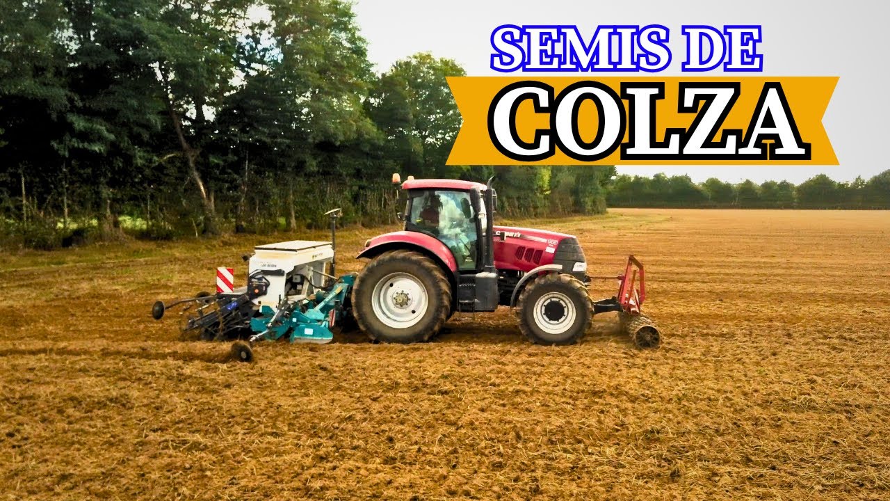 SEMIS DE COLZA !!!!