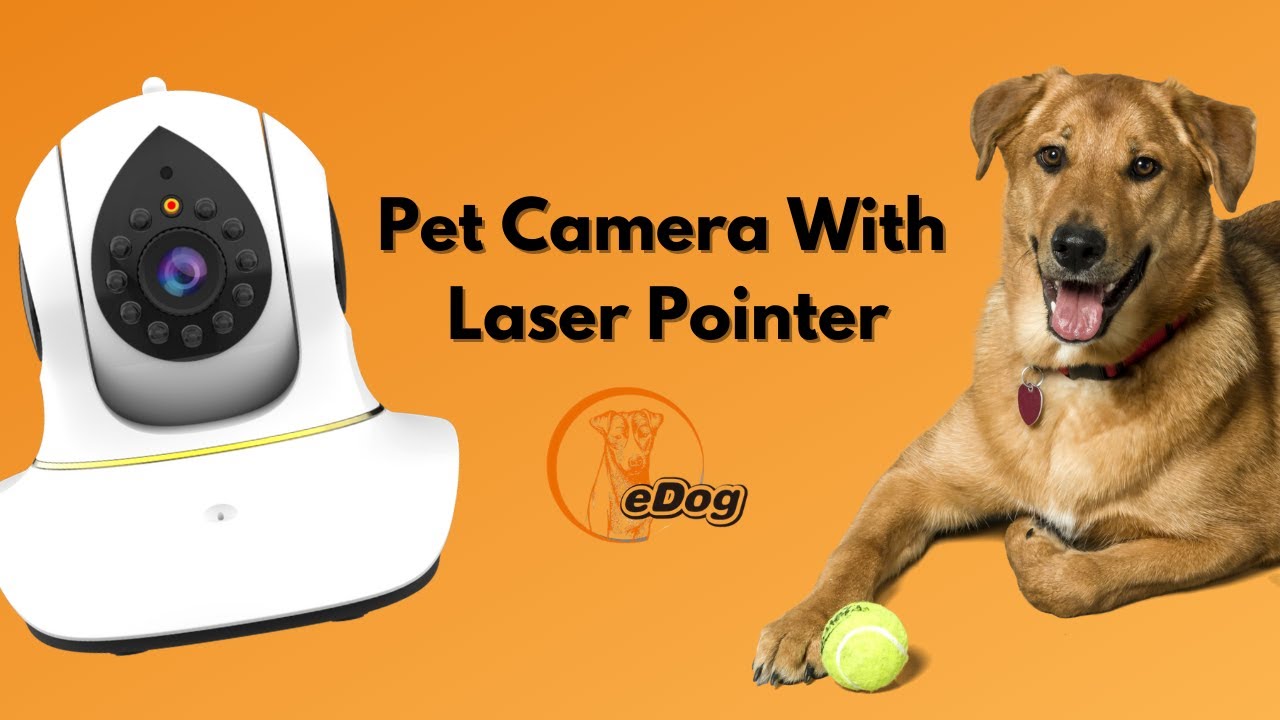 Pet Camera With Laser Pointer - Best Pet Camera to Spy On Your Dog or Cat