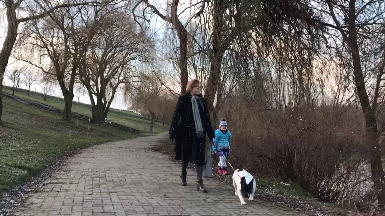 FeiyuTech SPG & SPG-C Sample