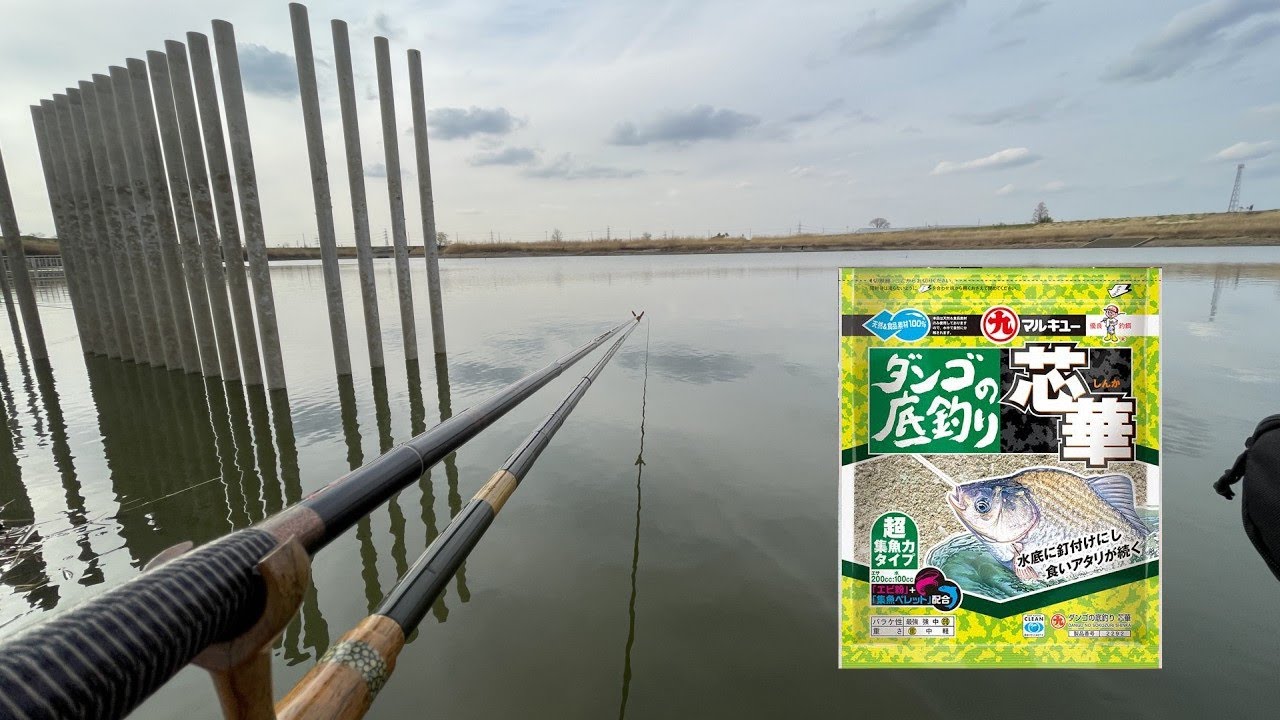 ダンゴの底釣り 芯華を使って野池でバランスの底釣り【埼玉県杉戸町 大島新田調整池】