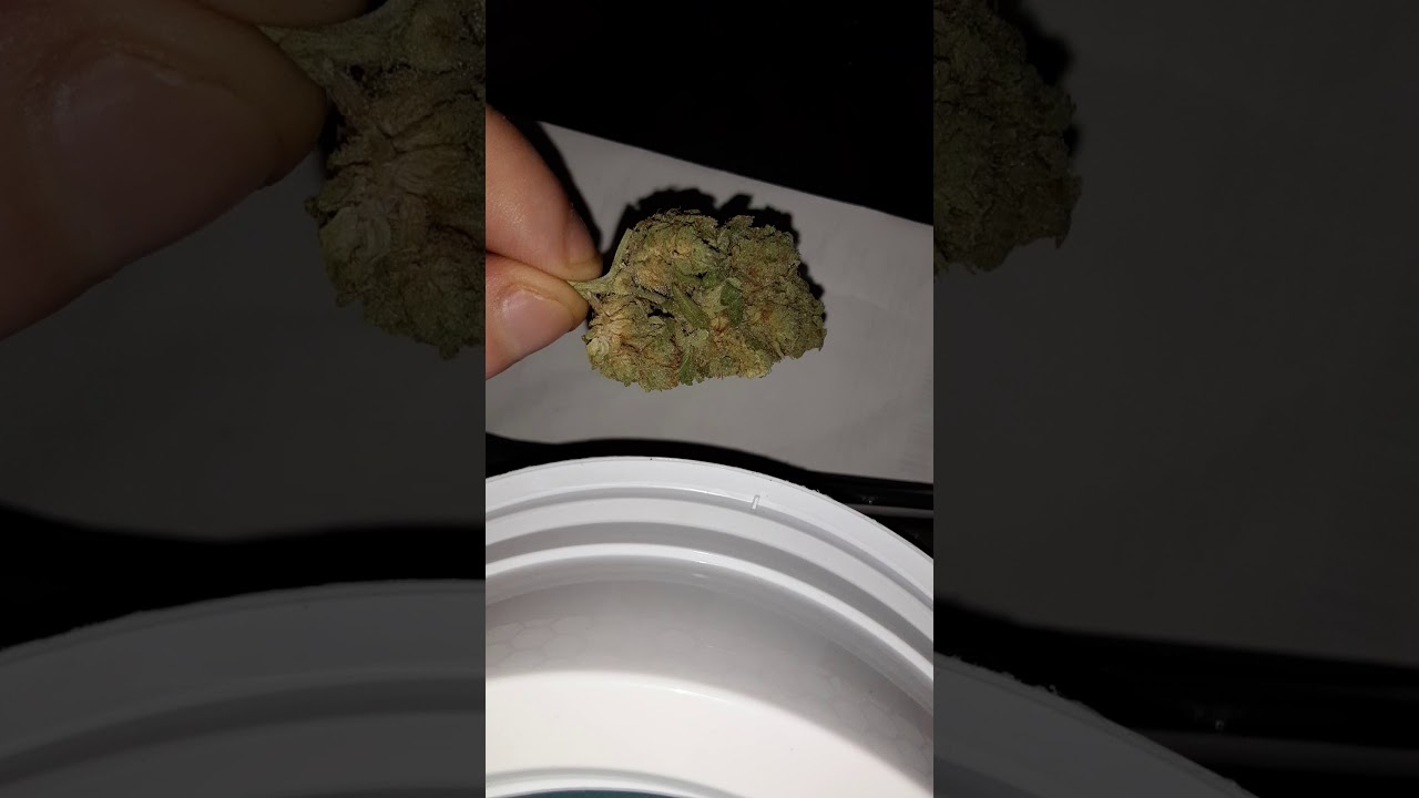 (18)+ Blueberry Review