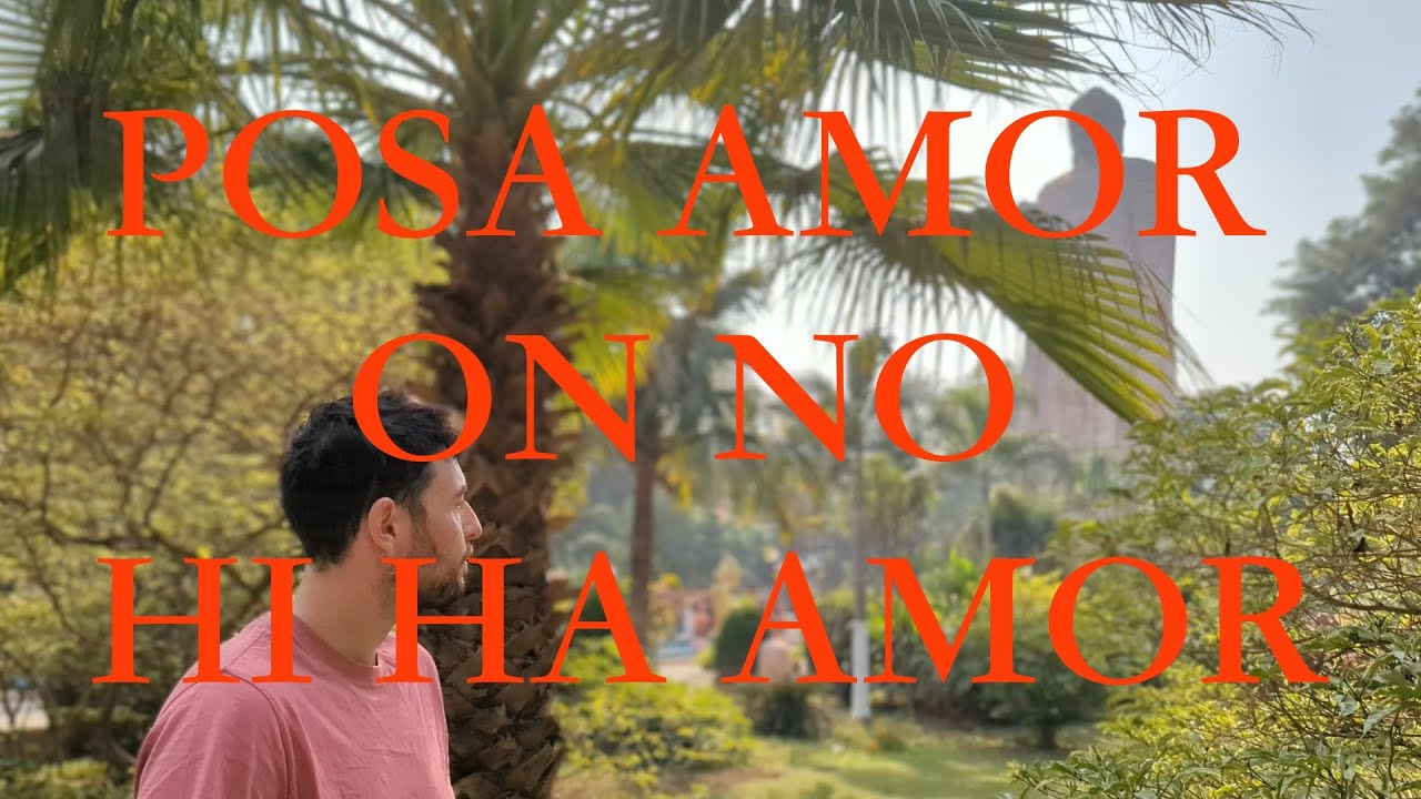 Sergi Carbonell - Posa amor on no hi ha amor (Visualizer)